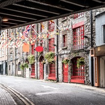 Dublinia