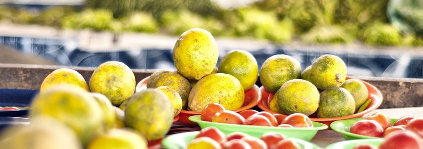citrus fruit and tomatoes for sale