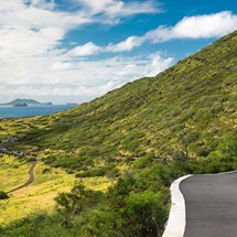 Kaiwi Shoreline Trail