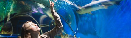 Ripley's Myrtle Beach Aquarium