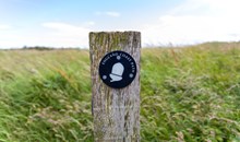 Coastal Walk