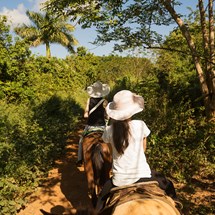 HorsePlay Punta Cana