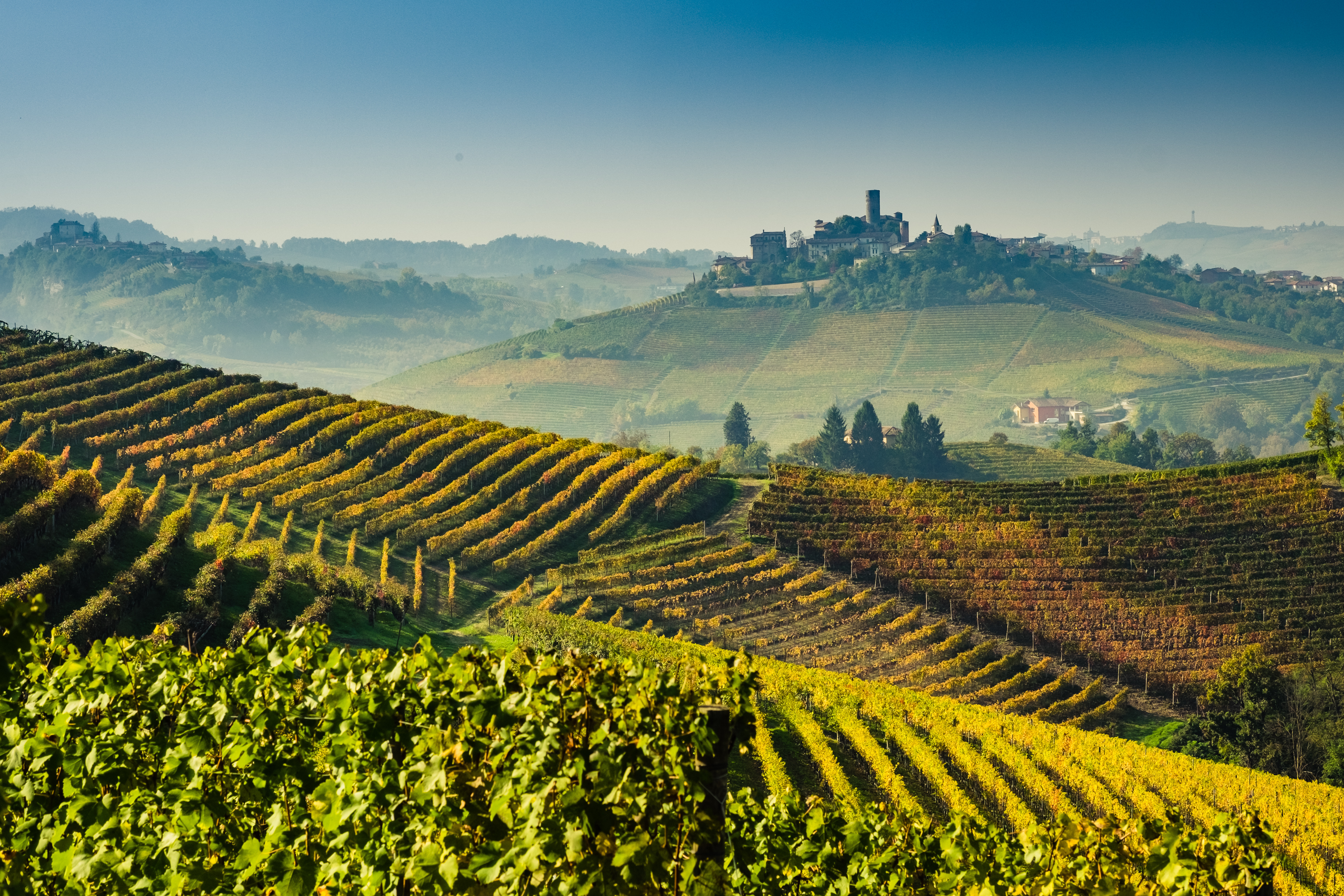 Langhe vineyards and hills in autumn