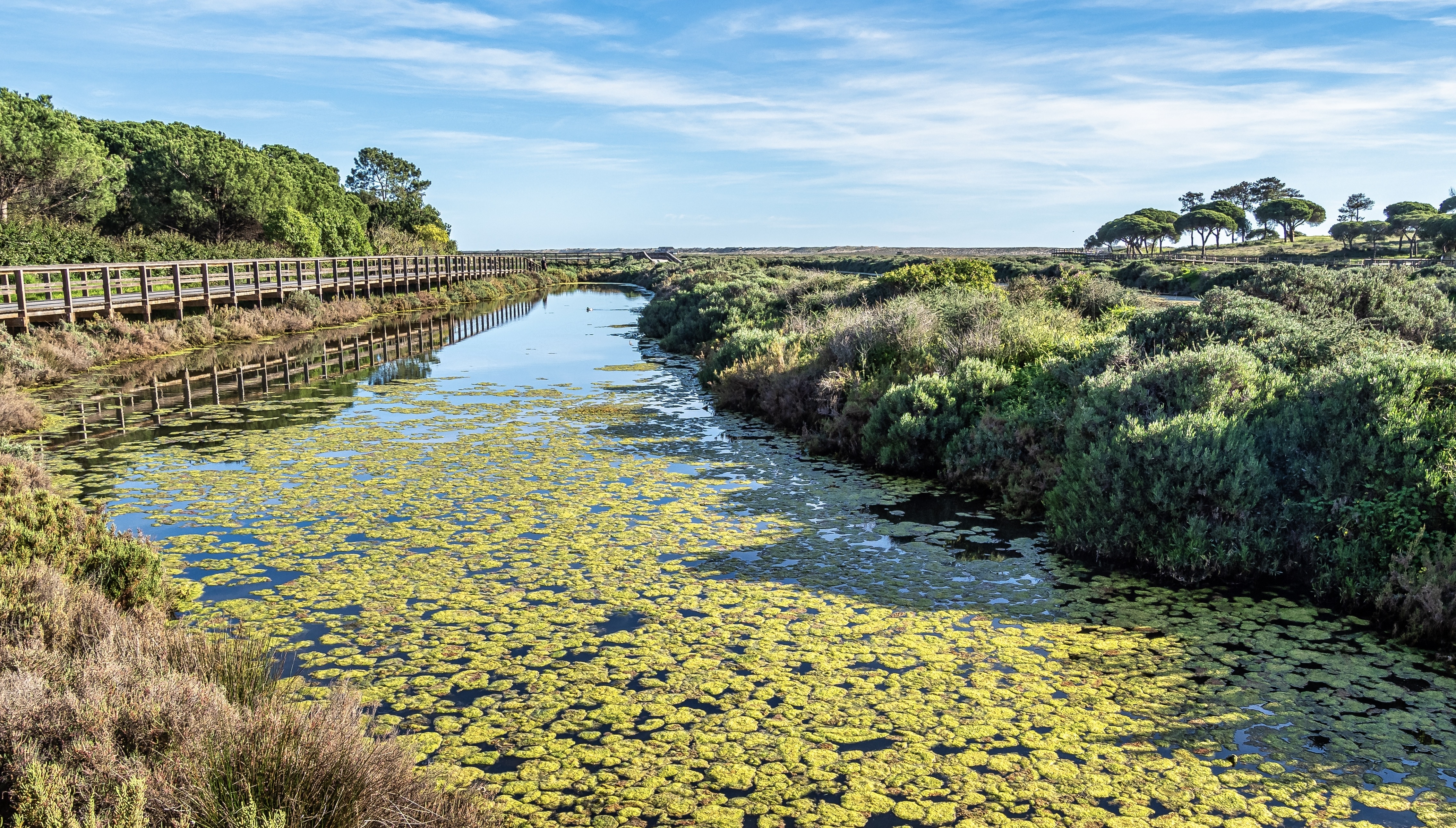 Landscape view of Parque Natural da Ria Formosa near Faro in Portugal