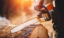 Paula Deen's Lumberjack Feud