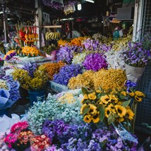 Ton Lam Yai Market