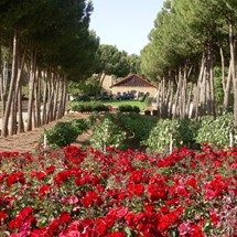 Château Ksara