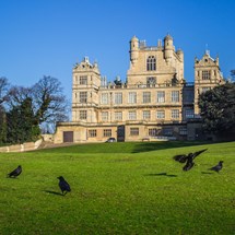 Wollaton Hall and Deer Park