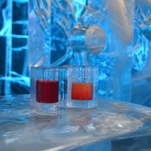 Minus 5° ICE BAR
