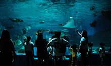 Manila Ocean Park