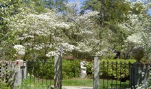 Brookgreen Gardens