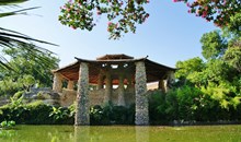 Japanese Tea Garden