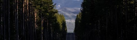 Yellowstone National Park Full-Day Lower Loop Tour