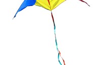 Kites Unlimited & Bird Stuff