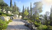 Mount of Olives and Garden of Gethsemane