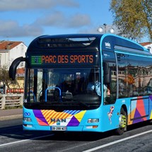 Public Transport