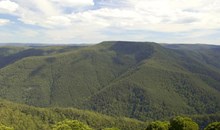 Barrington Tops National Park