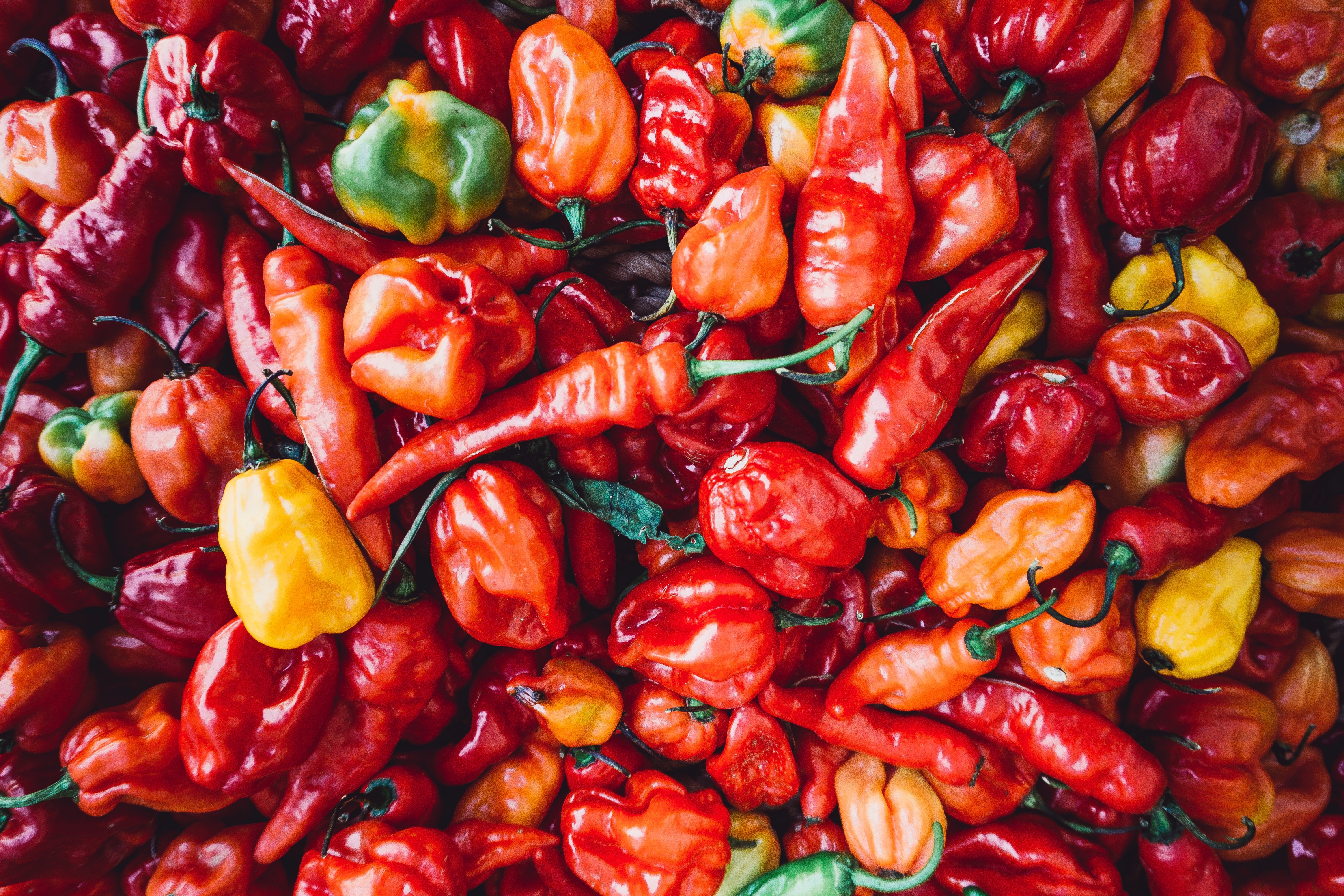 an assortment of chillies