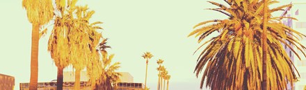 Hollywood Boulevard