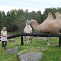 Junsele Zoo