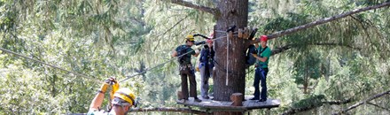 Sonoma Canopy Tours