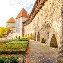 Toompea Castle