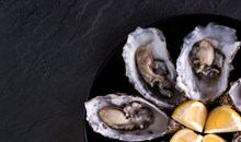 Hog Island Oyster Company