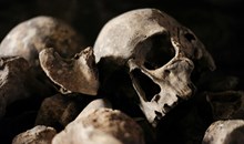 The Killing Fields & Choeung Ek Memorial