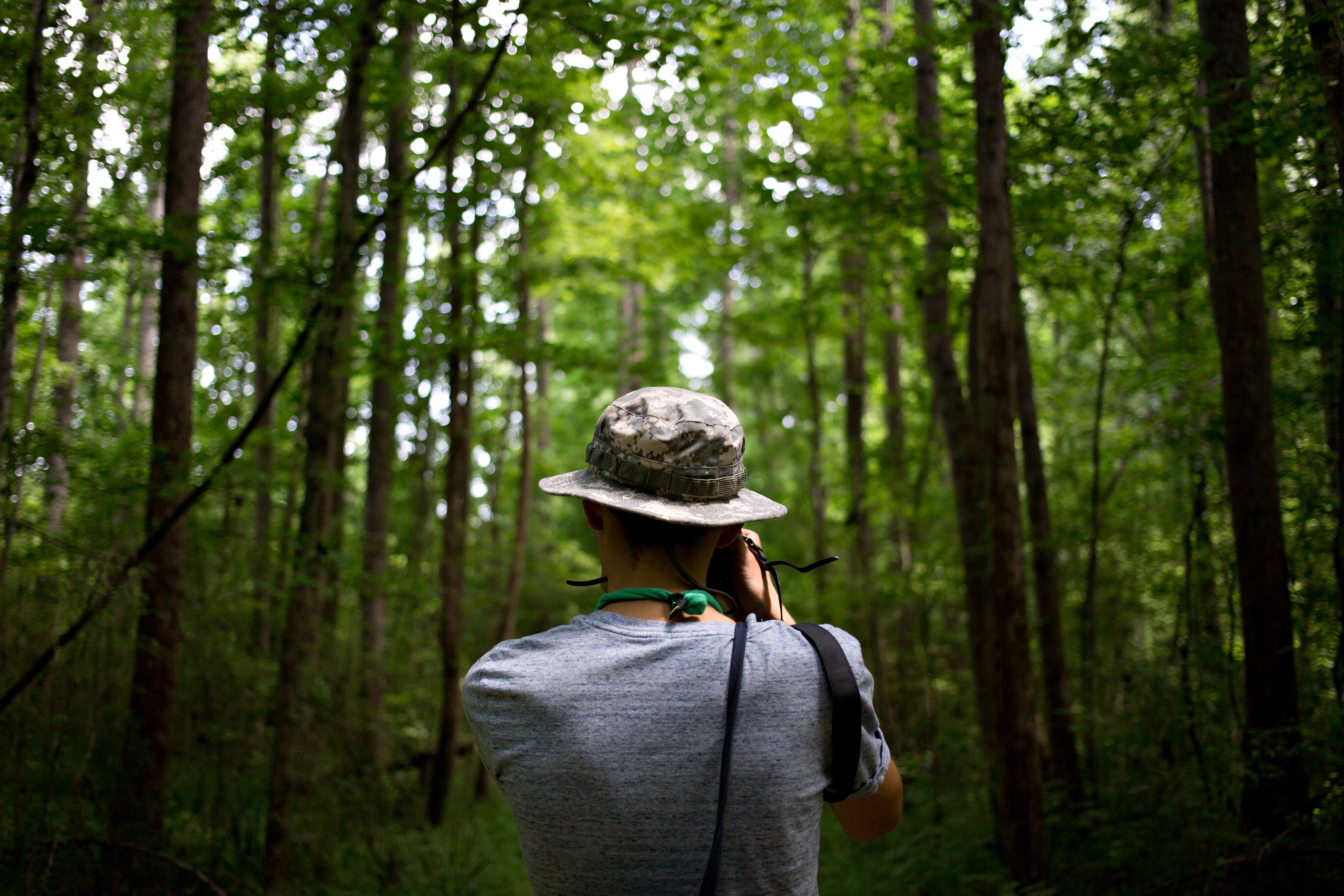 Photo from the back of hipster nomad adventurer exploring exotic forest in national park wears a panama hat and makes photos of inspirational nature