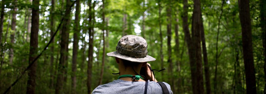 Photo from the back of hipster nomad adventurer exploring exotic forest in national park wears a panama hat and makes photos of inspirational nature