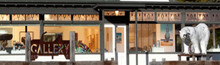 Lost Bear Gallery