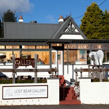 Lost Bear Gallery