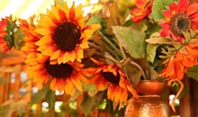 Sunflower Caffé
