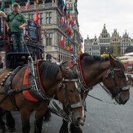 Horse and carriage