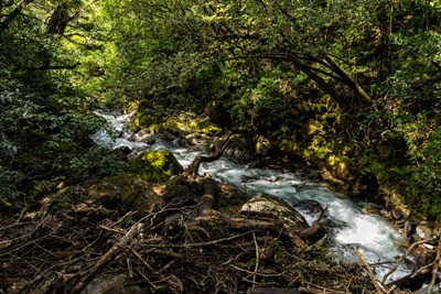 Rincon de La Vieja National Park close to Liberia, Costa Rica - Nicholas Courtney/Shutterstock.com