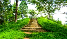 Mapawa Nature Park