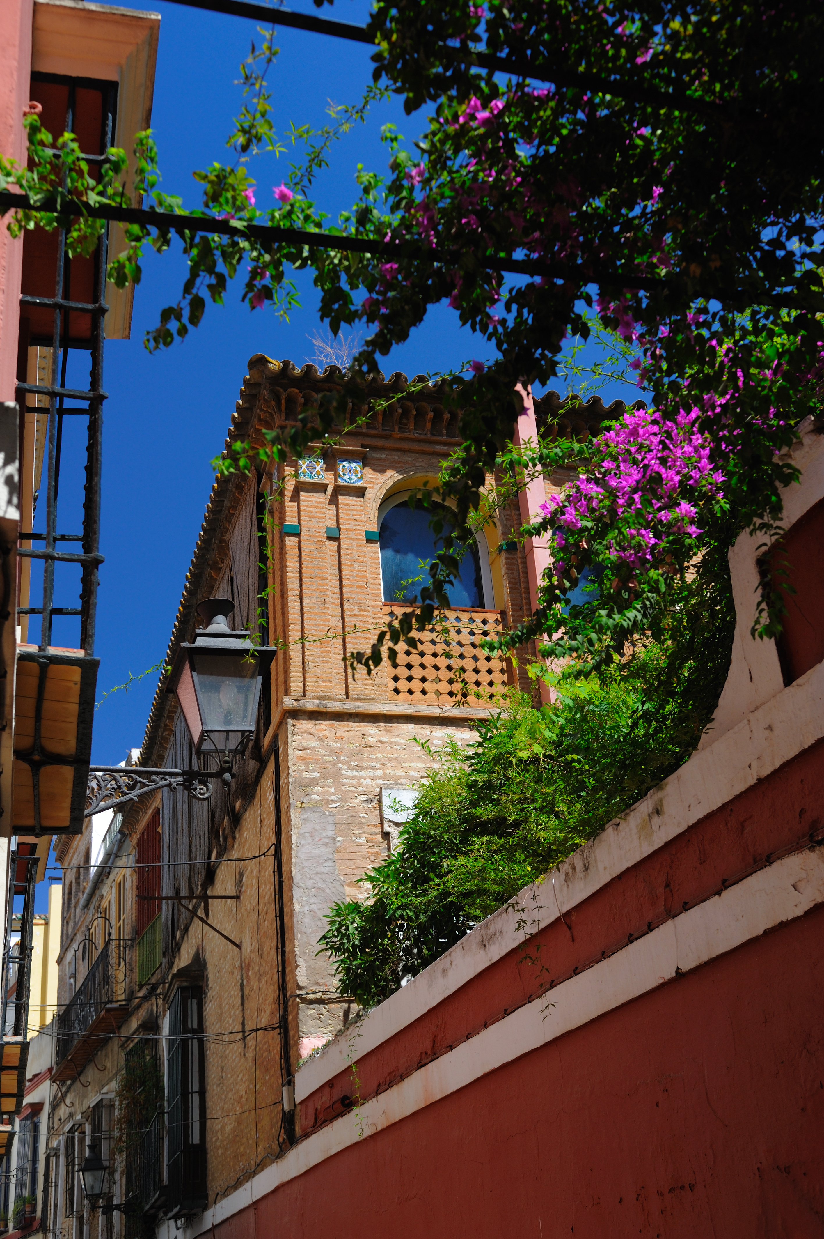 Typical andalusian houses at barrio Santa Cruz, Seville, Spain