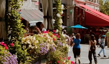 Old Montreal