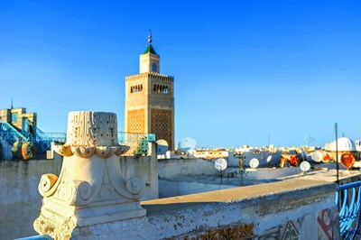 a view of a tower in Tunis - eFesenko/Shutterstock.com