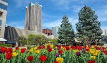Citygarden Sculpture Park