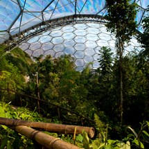 The Eden Project