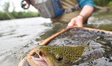 Sedona Fly Fishing Adventures