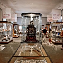Museum Gustavianum