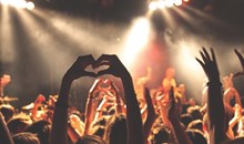 Live Shows