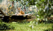 Öland Zoo & Amusement Park