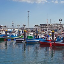 Puerto Los Cristianos