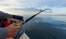 Mount Maker Charters