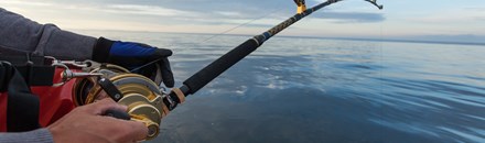 Jak'l Sport Fishing Tours