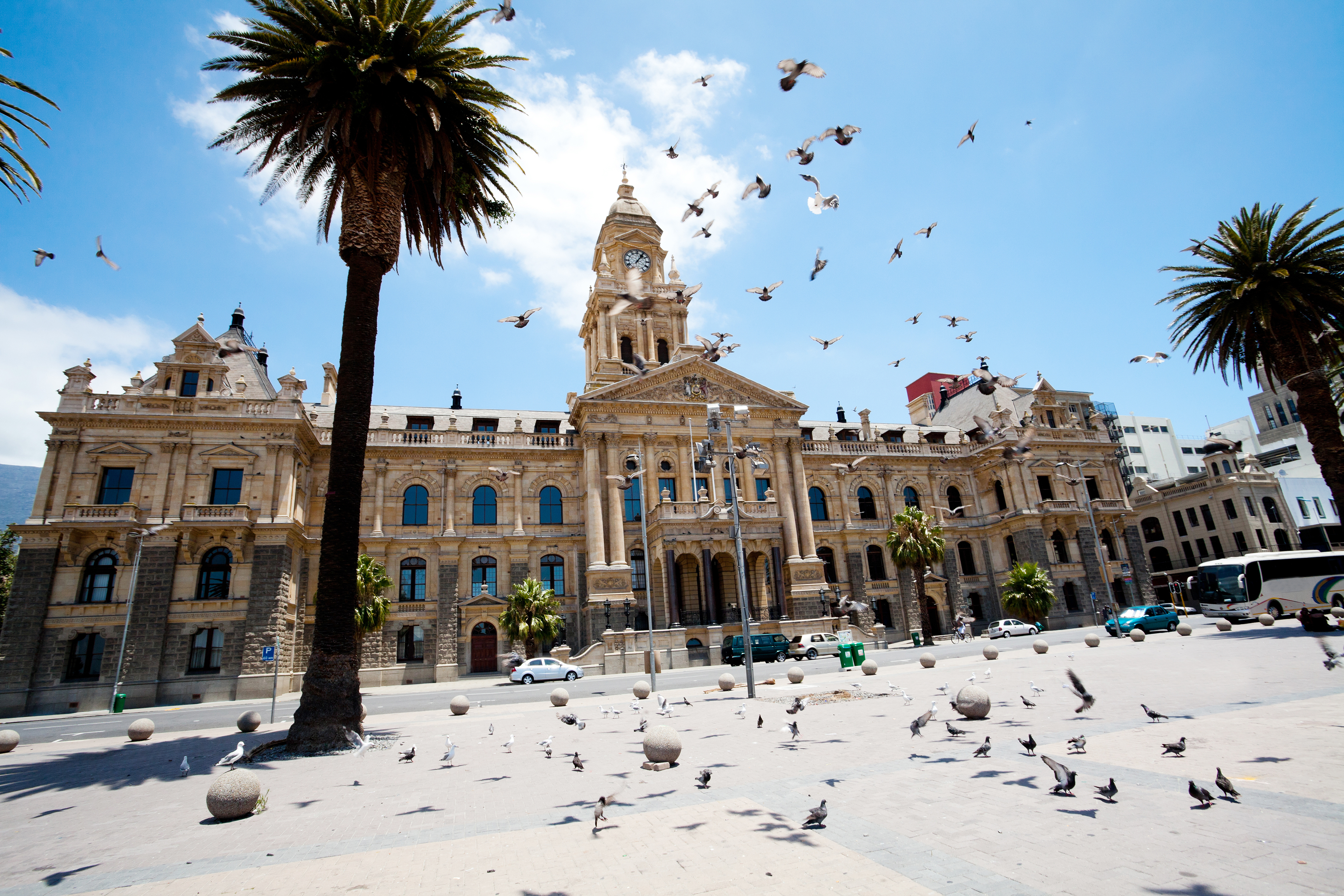 pigeons flying over city hall of cape town, south africa