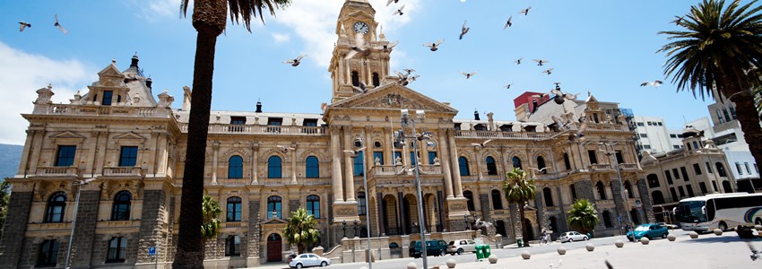 pigeons flying over city hall of cape town, south africa
